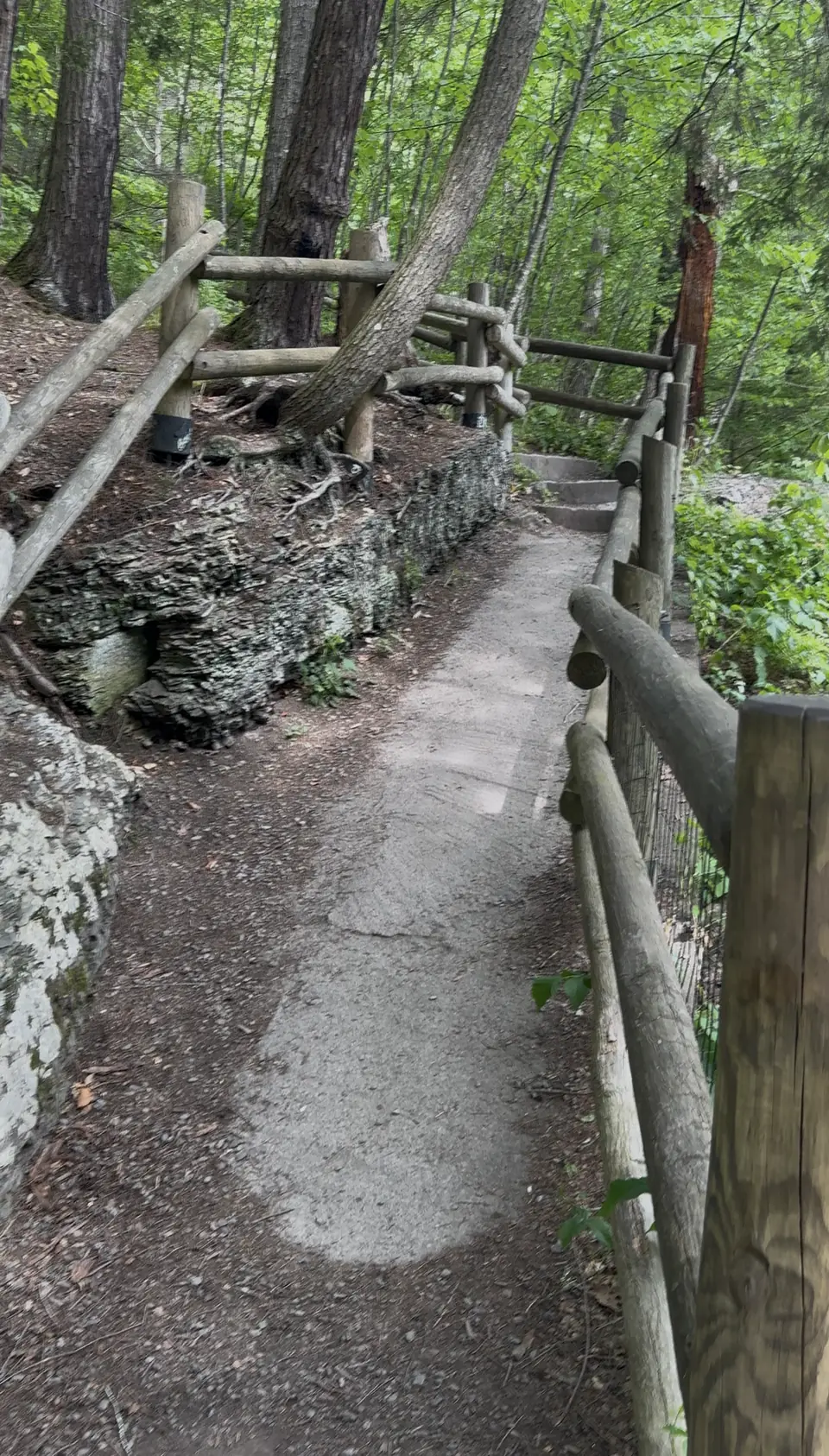A wooded trail with log railings beside a stream