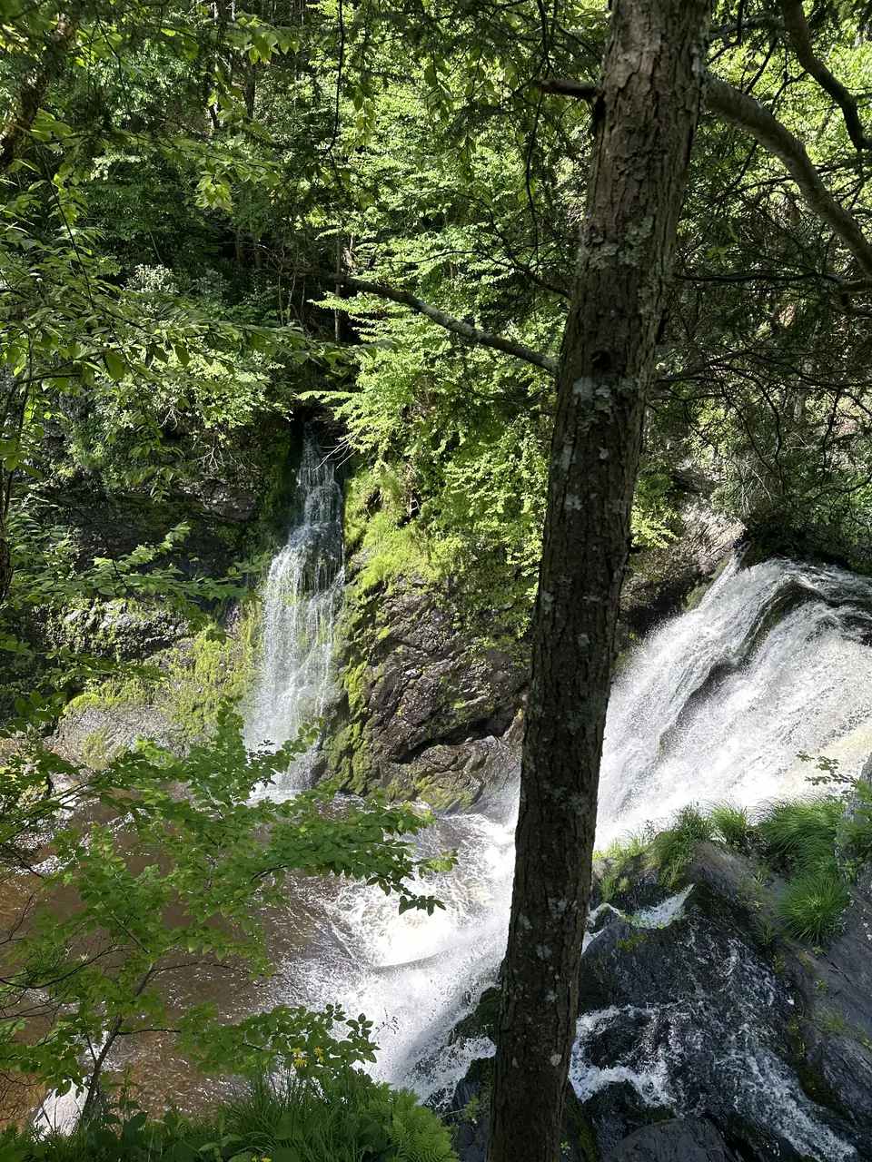 Looking down on a waterfall through the summer trees