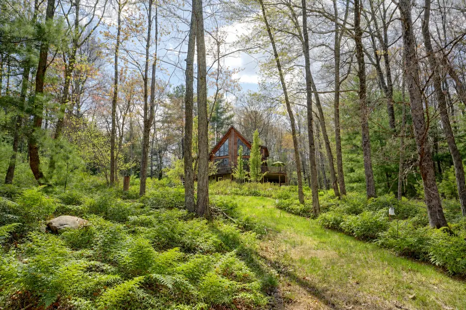 Fern lined path leading through the woods to the log cabin