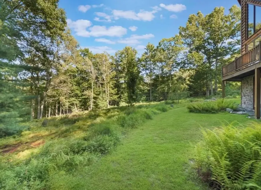 Open lawn bordered by ferns and forest behind the cabin