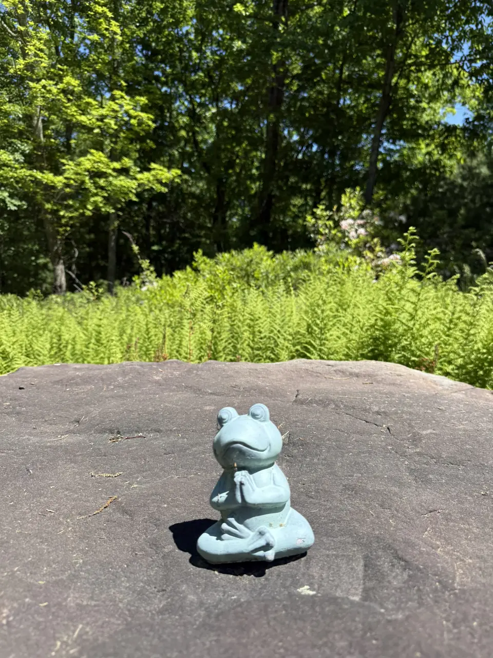 A small meditating frog statue on Serenity Rock, with ferns and woods beyond