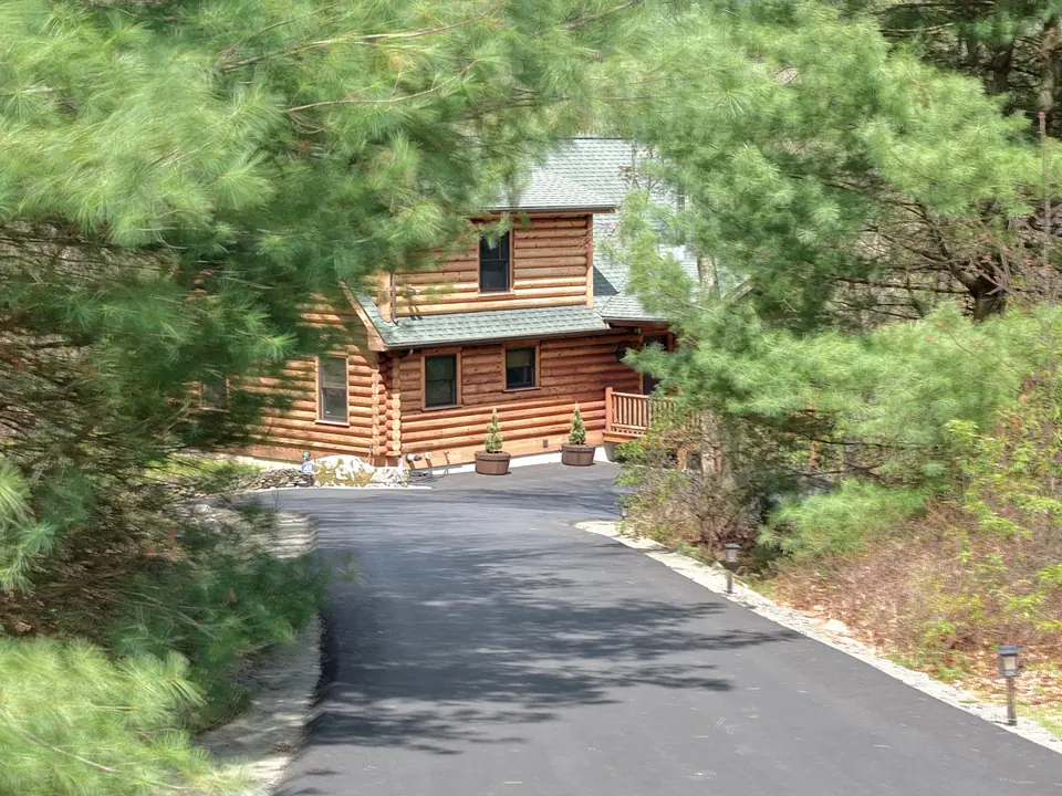 Driveway curving through tall pines toward the log cabin in spring