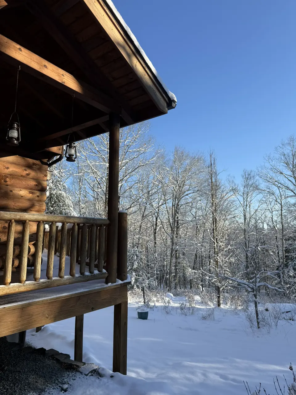 Snow covered woods seen from the covered porch
